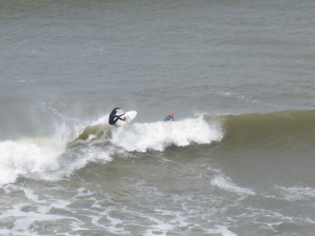 Shore fishing South Devon bass April 2026